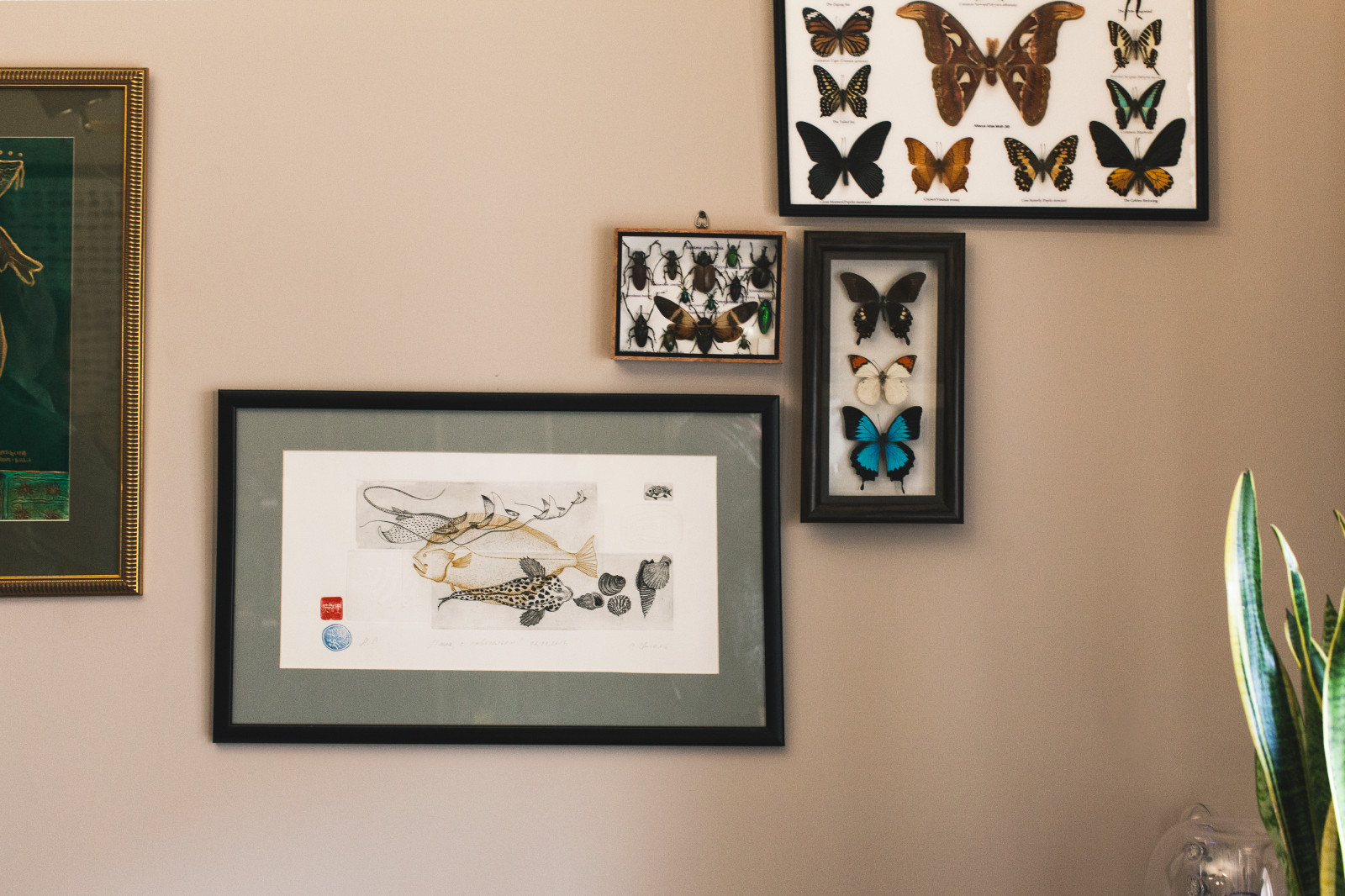 Павел/ Звенигород