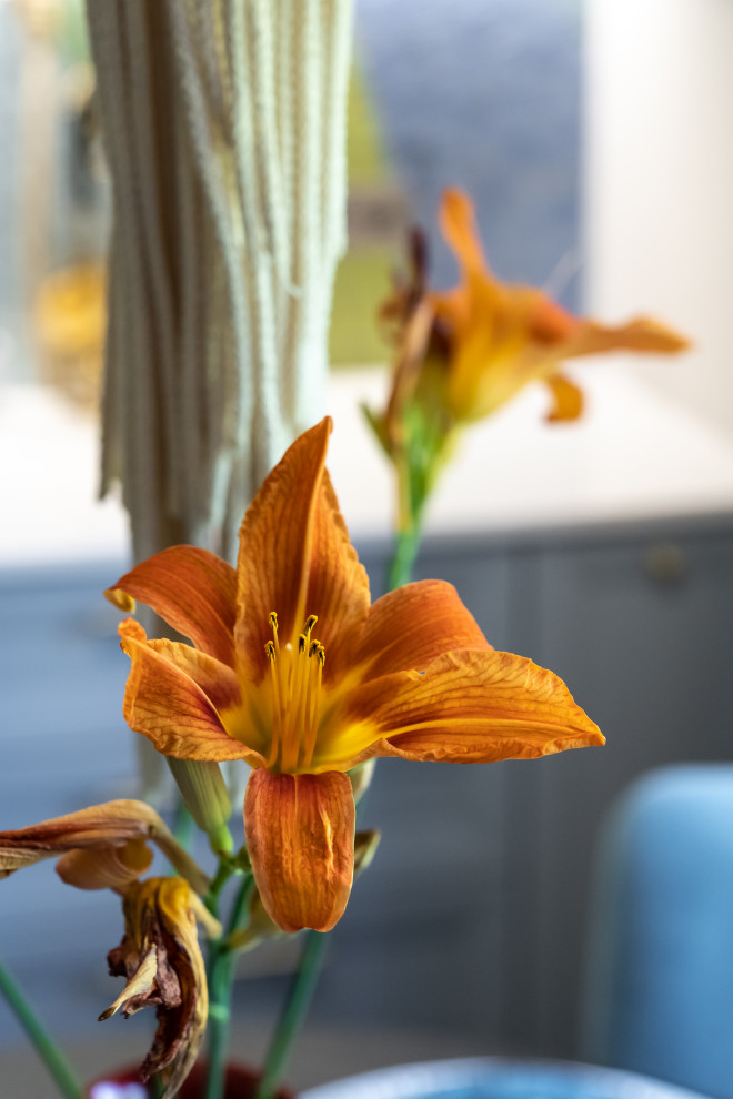 Переделка в рамках участя в Квартирном вопросе кухня 9 метров