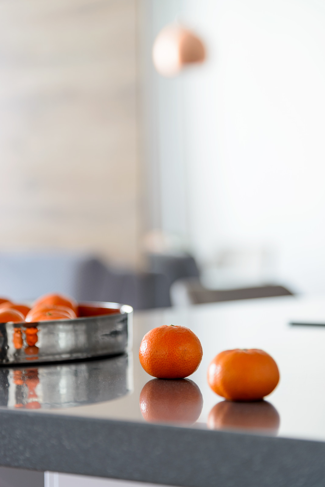 Камень и дерево в центре Сибири