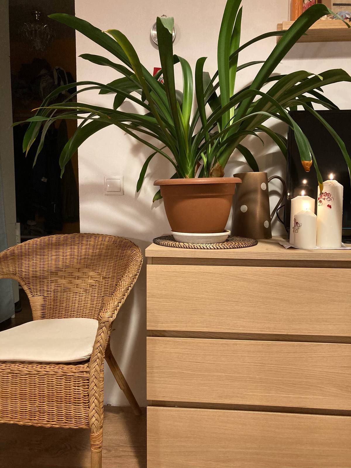 Обложка проекта: Квартира на Халтуринской