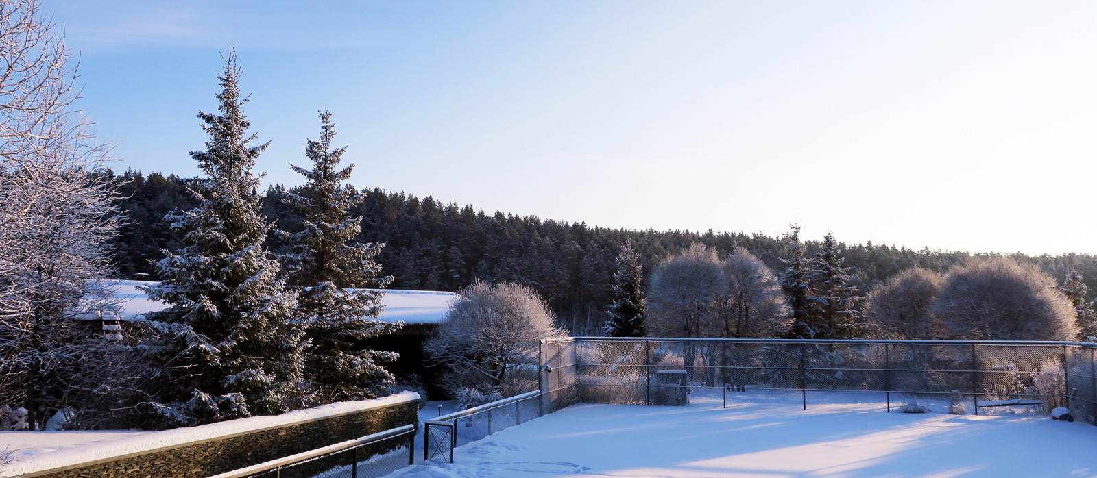 Новый пейзаж