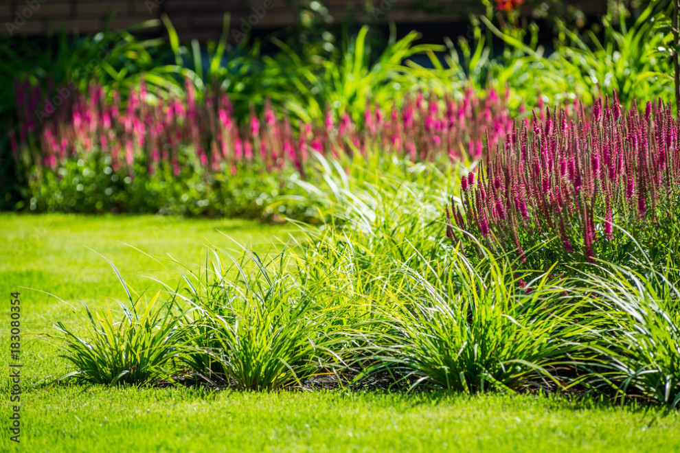 ландшафтный дизайн