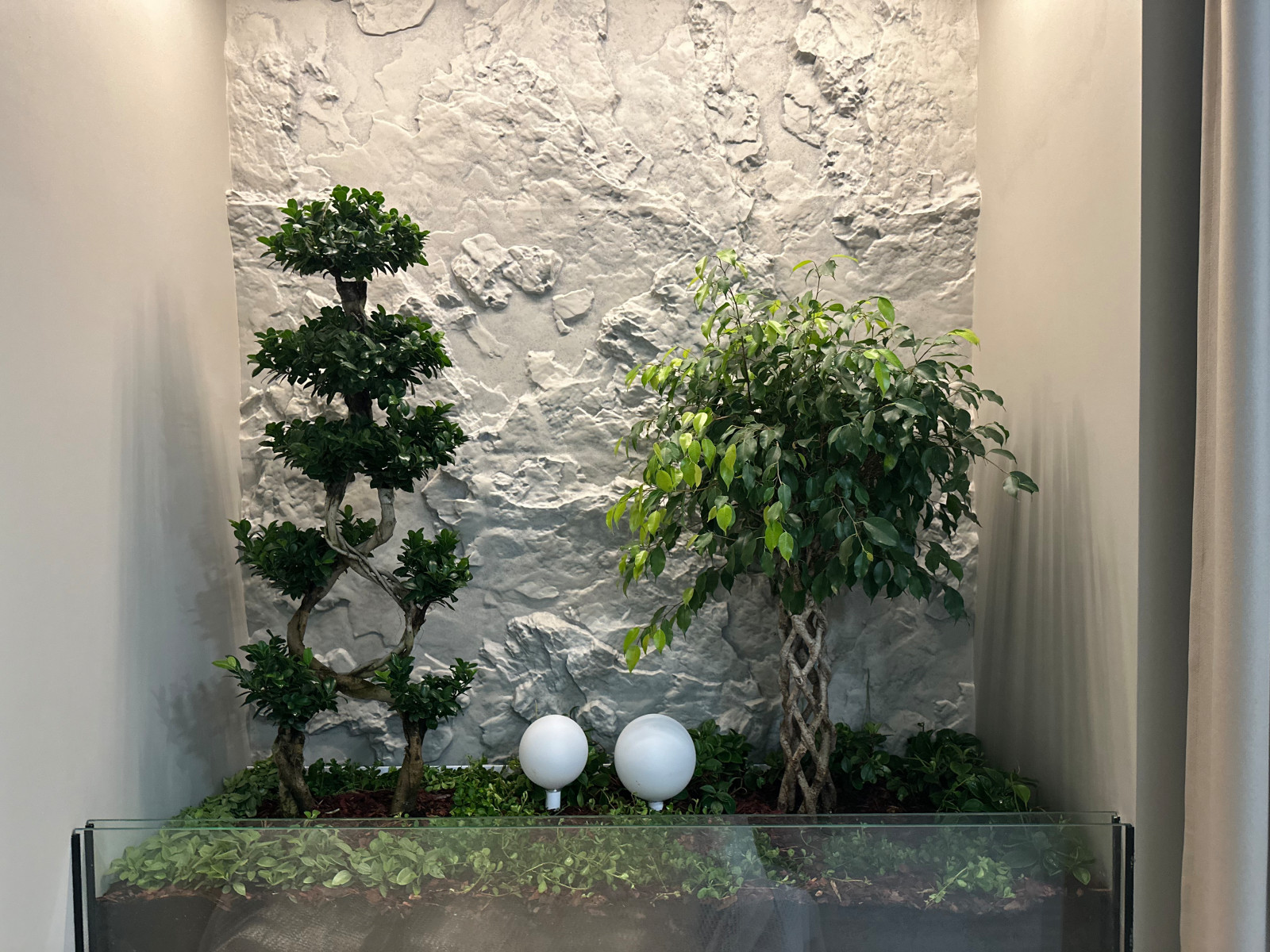 Обложка проекта: Город Стрежевой. Устройство зимнего сада в кабинете руководителя.