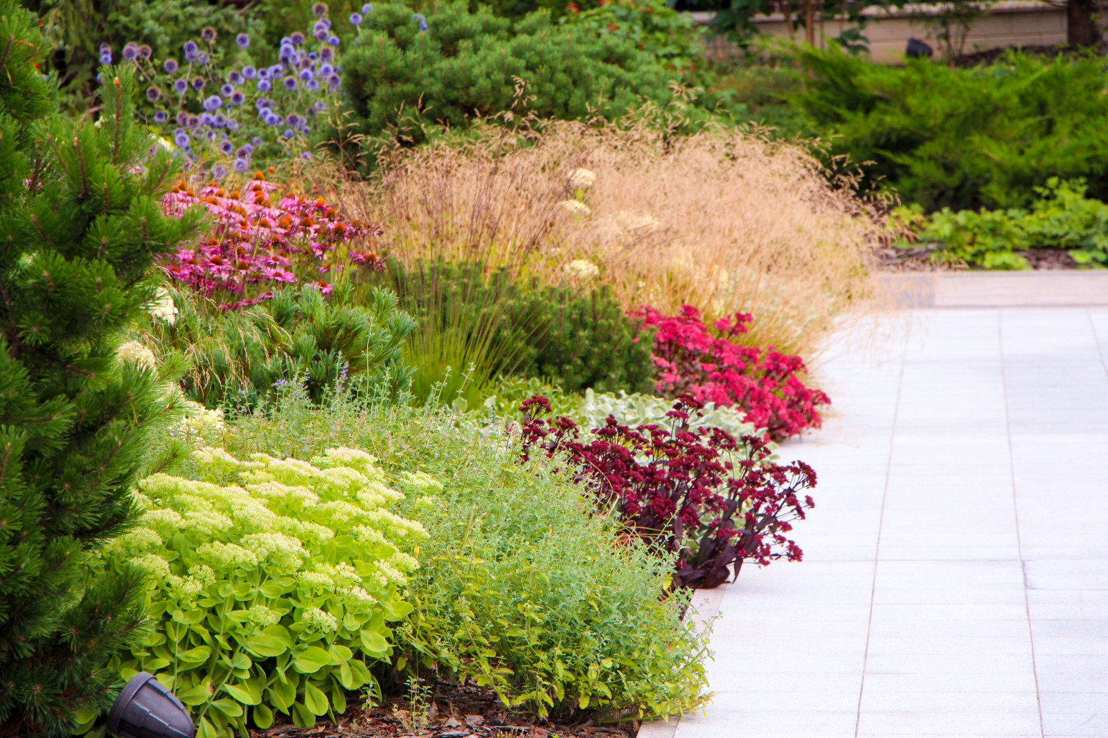 Горки-10, 2017-2020 г.г.