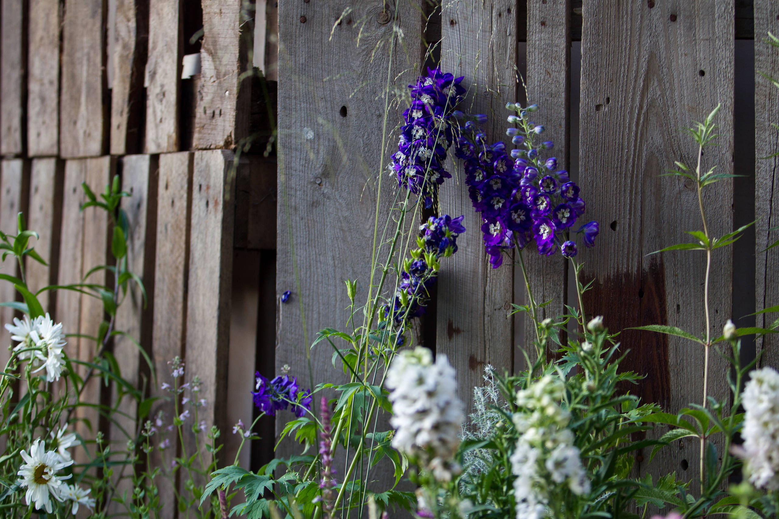 Проект недели: Французский сад на выставке в Москве