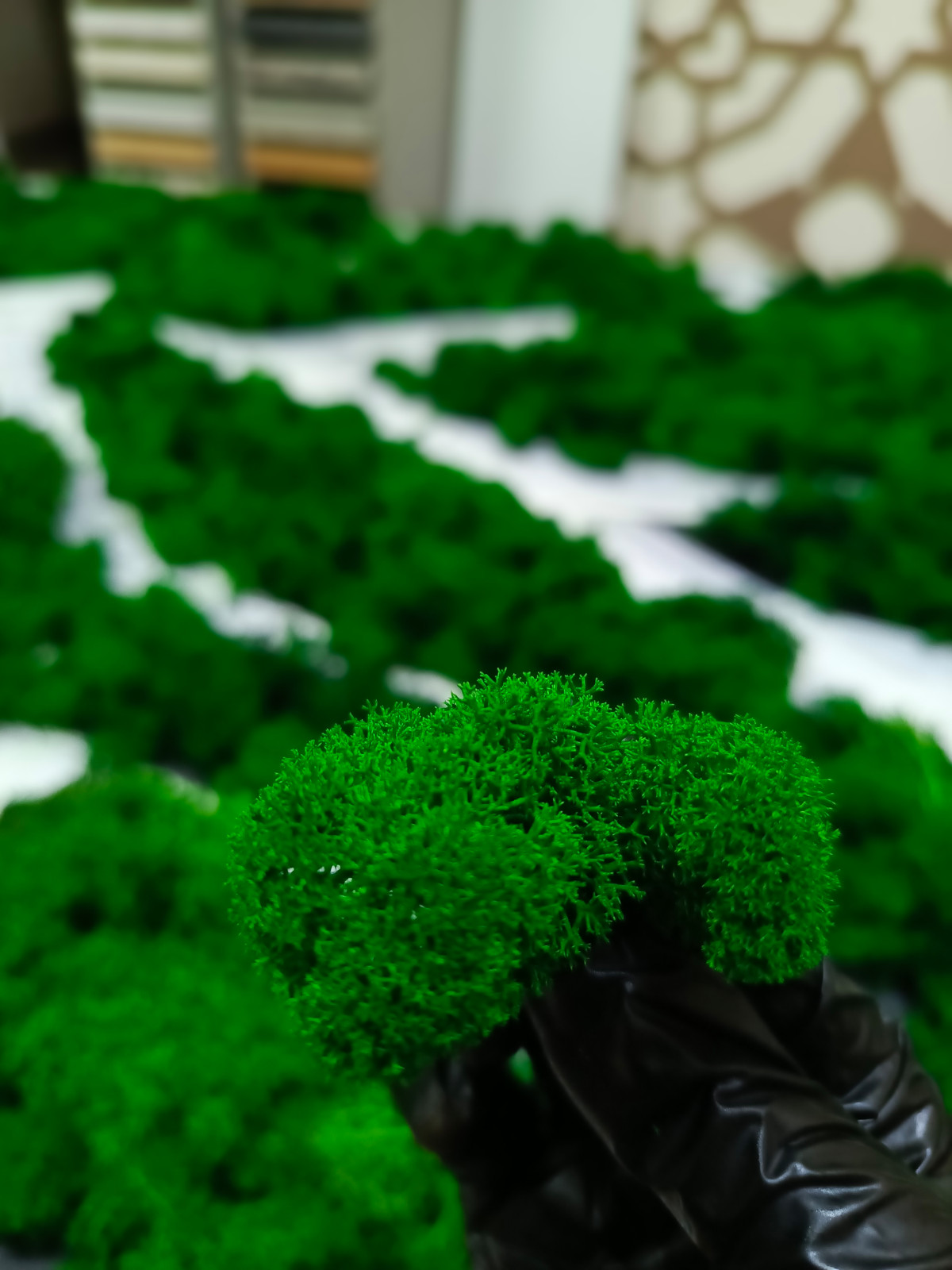 Обложка проекта: Панно с использованием стабилизированного мха