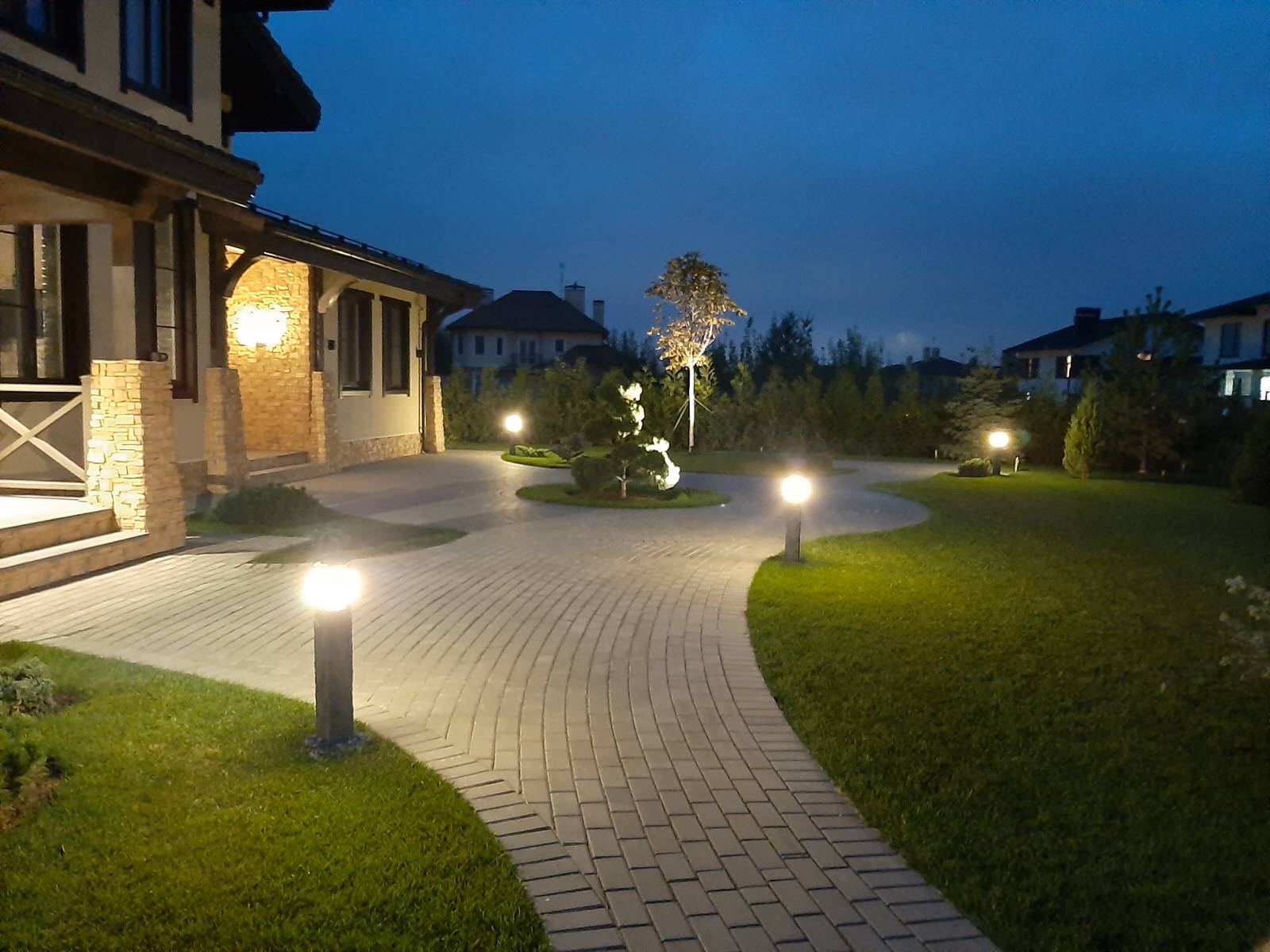 Сад с хвойными растениями