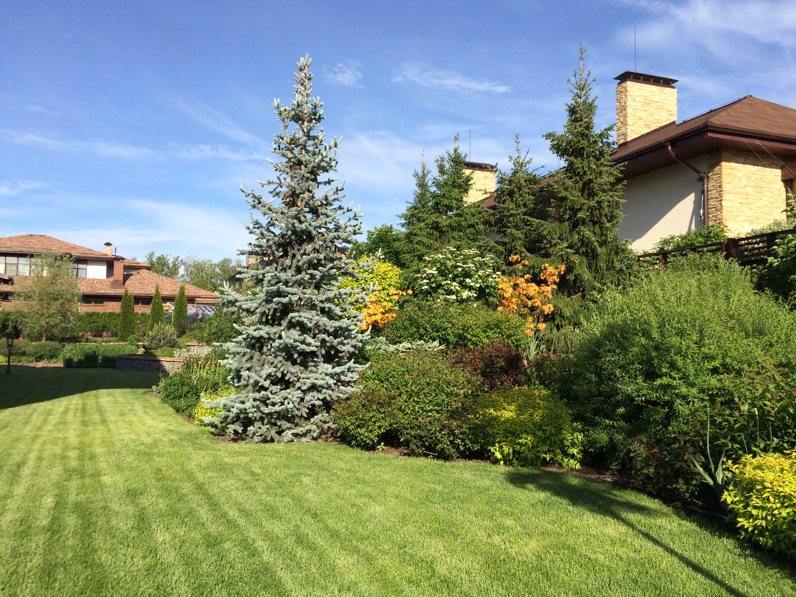 Обложка проекта: Променад