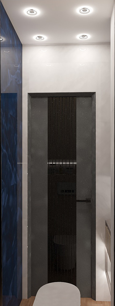 проходная кухня-студия