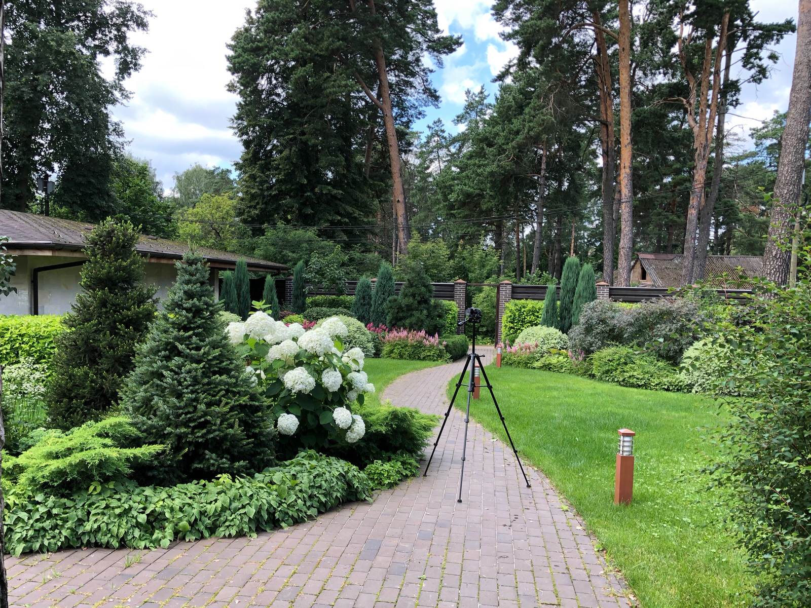 Обложка проекта: Сад в поселке Салтыковка