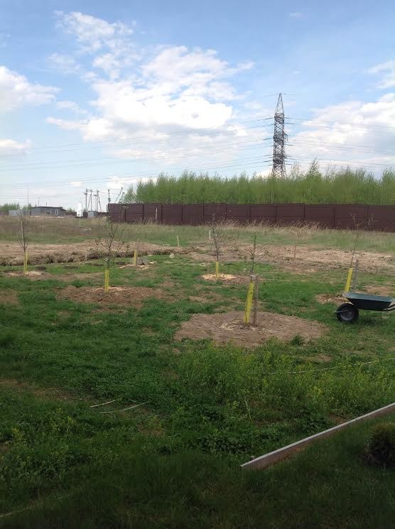 Симметричный сад