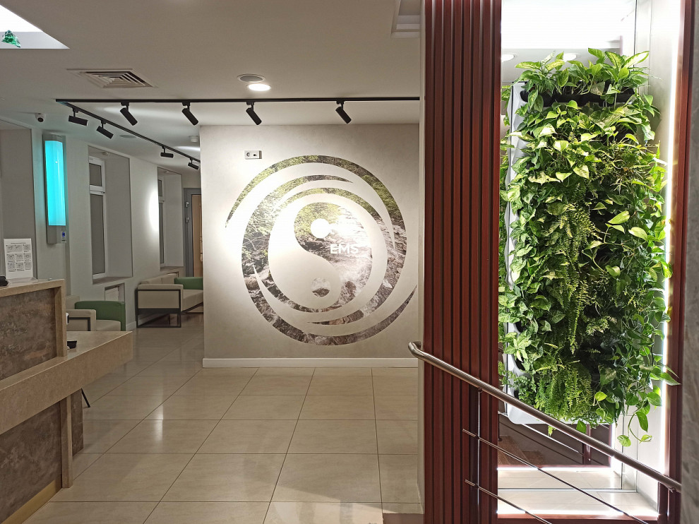 Клиника EMS, Санкт-Петербург