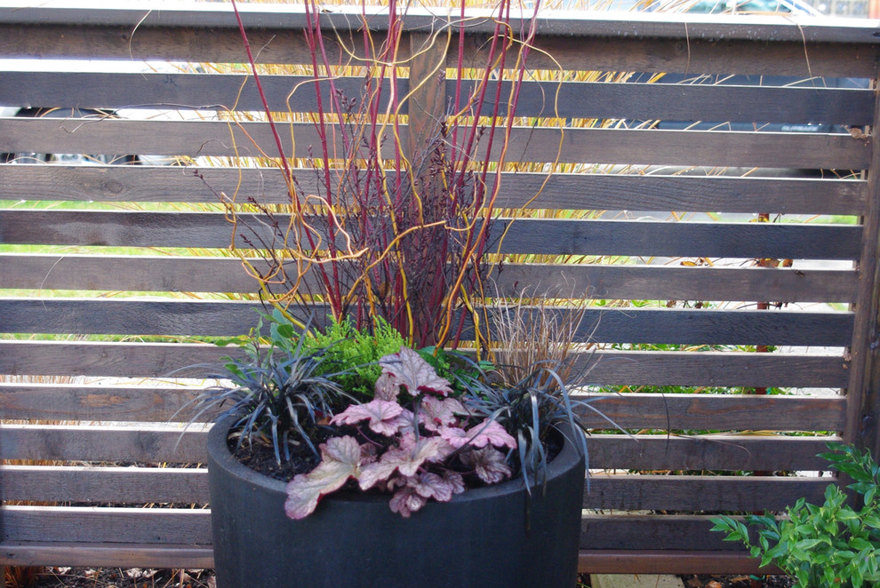 Фотоохота: 45 идей осенних кашпо