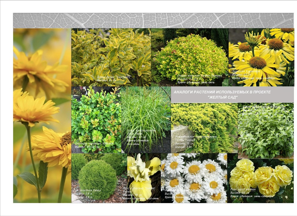 Тематический парк для проведения торжеств (ресторанный комплекс)