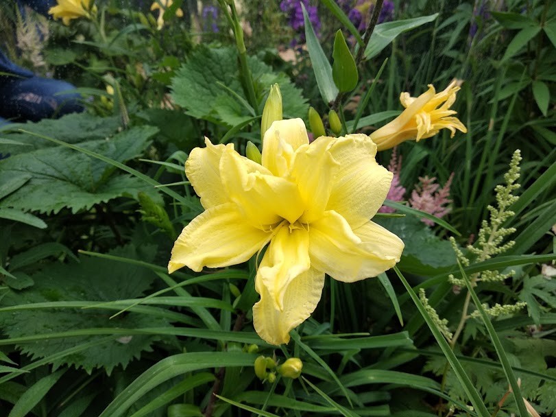 Проект недели: Французский сад на выставке в Москве