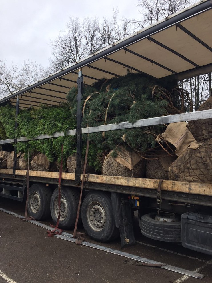 Обложка проекта: Разгрузки