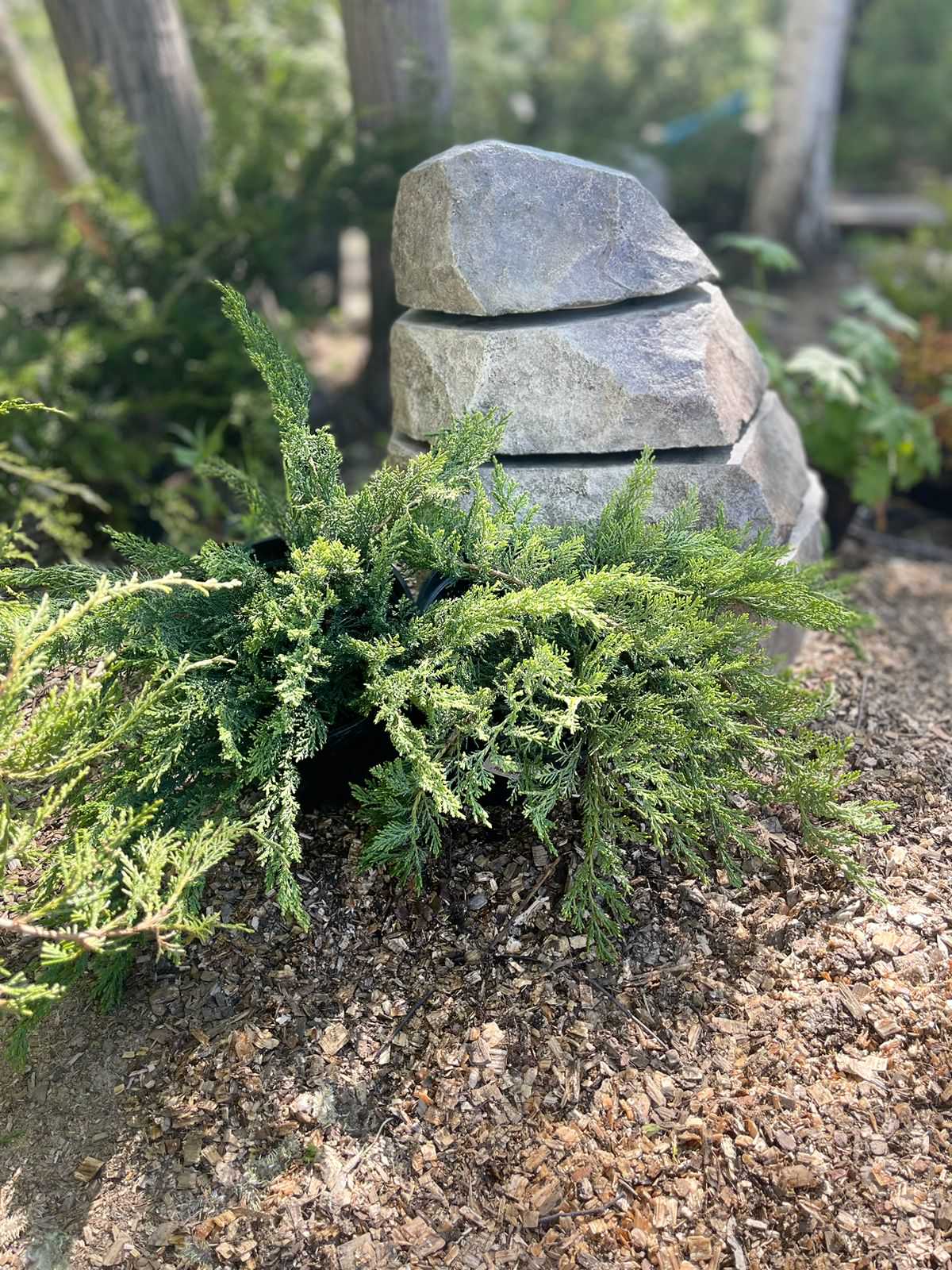 Обложка проекта: Светильники из арт-бетона