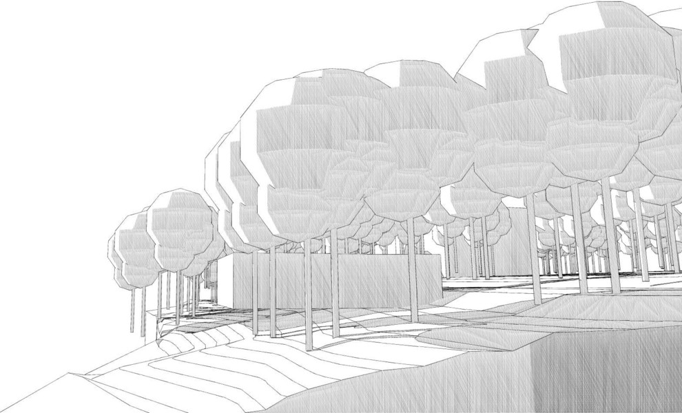 Ушаковские дачи