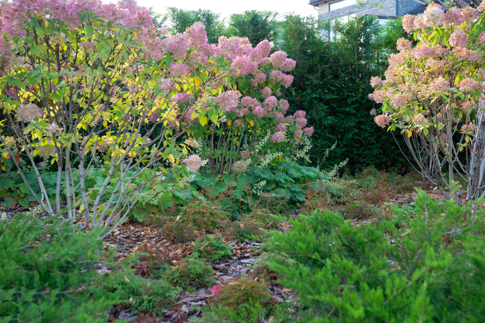 Мэдисон Парк 2022 г