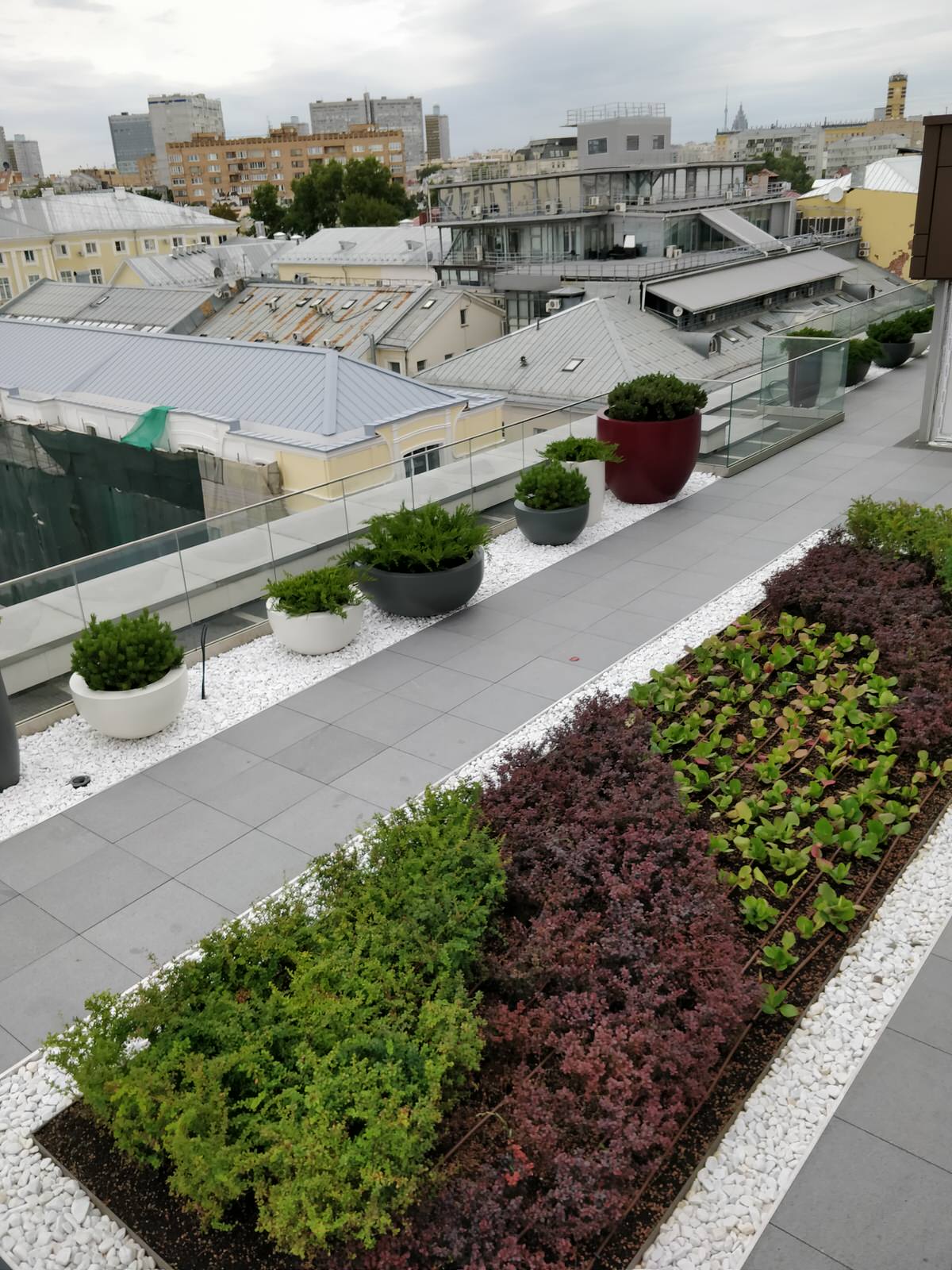 Озеленение крыши в центре Москвы