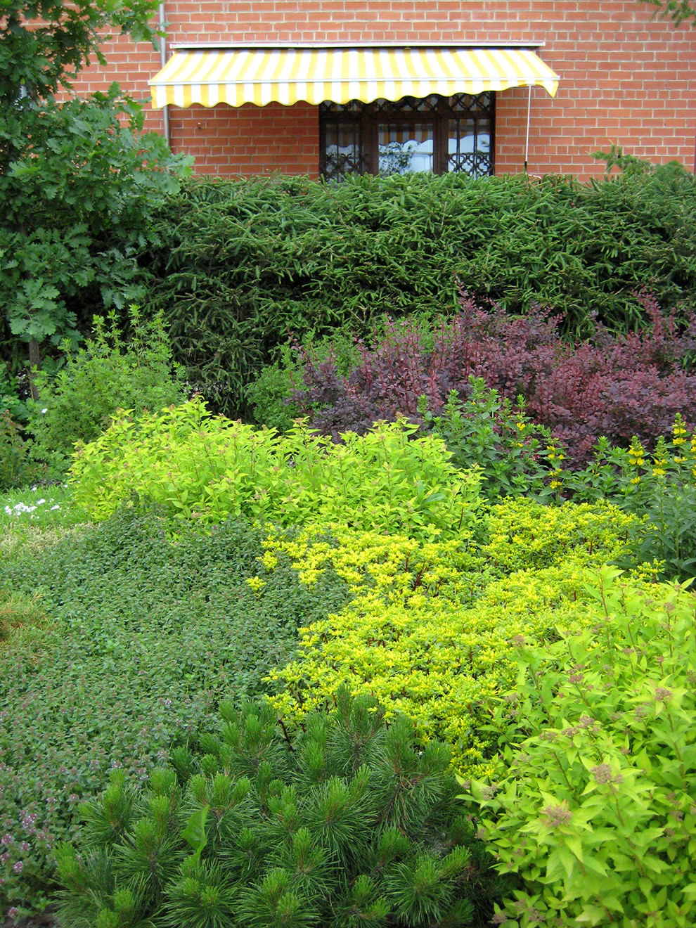 250 квадратных метров между домом и баней