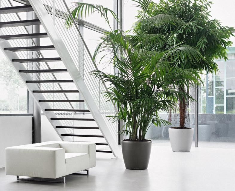 Неподвласные времени