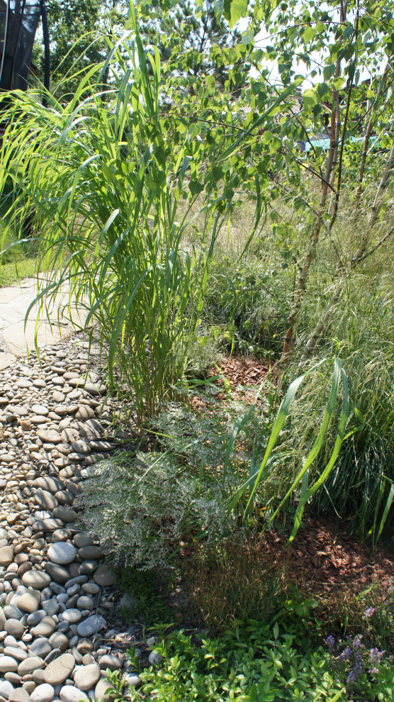 Прохорово лето 2017