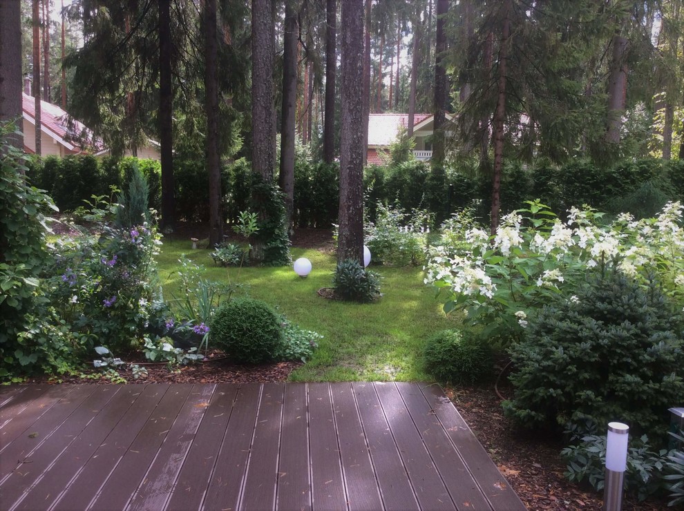 ШЕРВУДСКИЙ ЛЕС