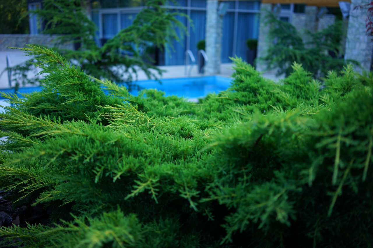 Лазурный Берег Сочи