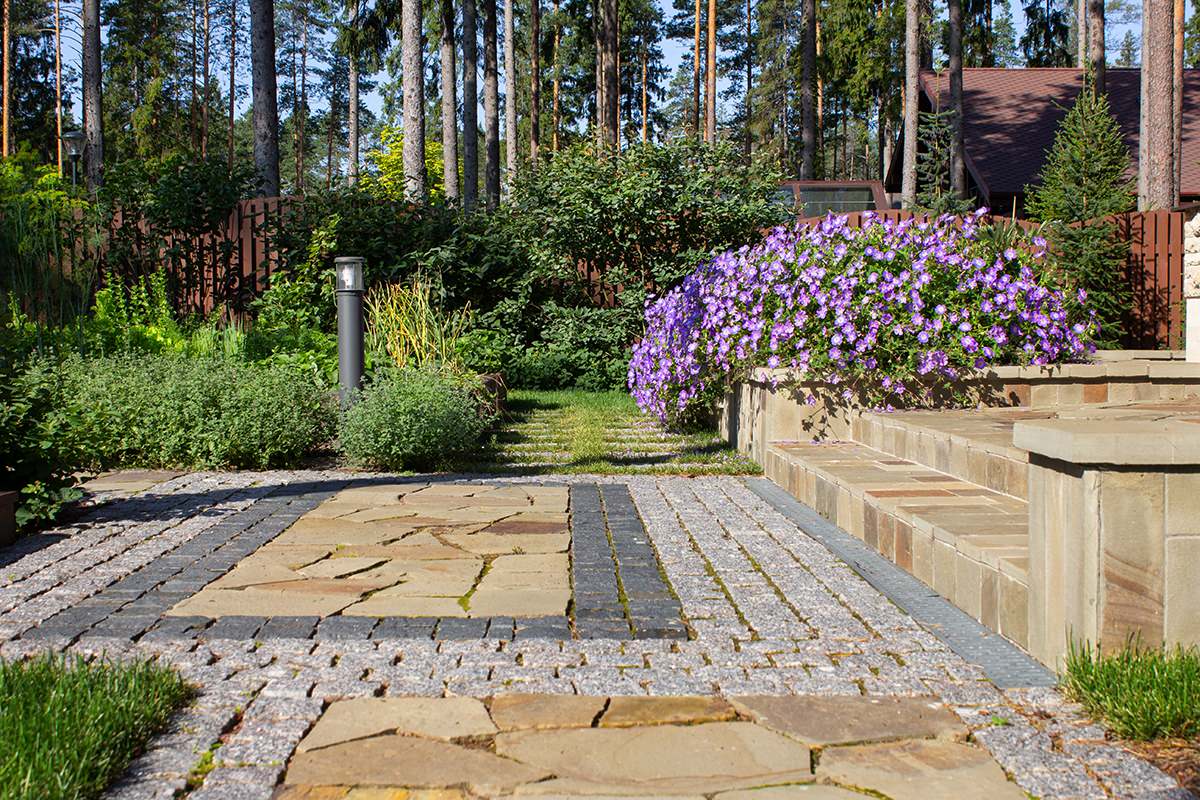 Еловая аллея