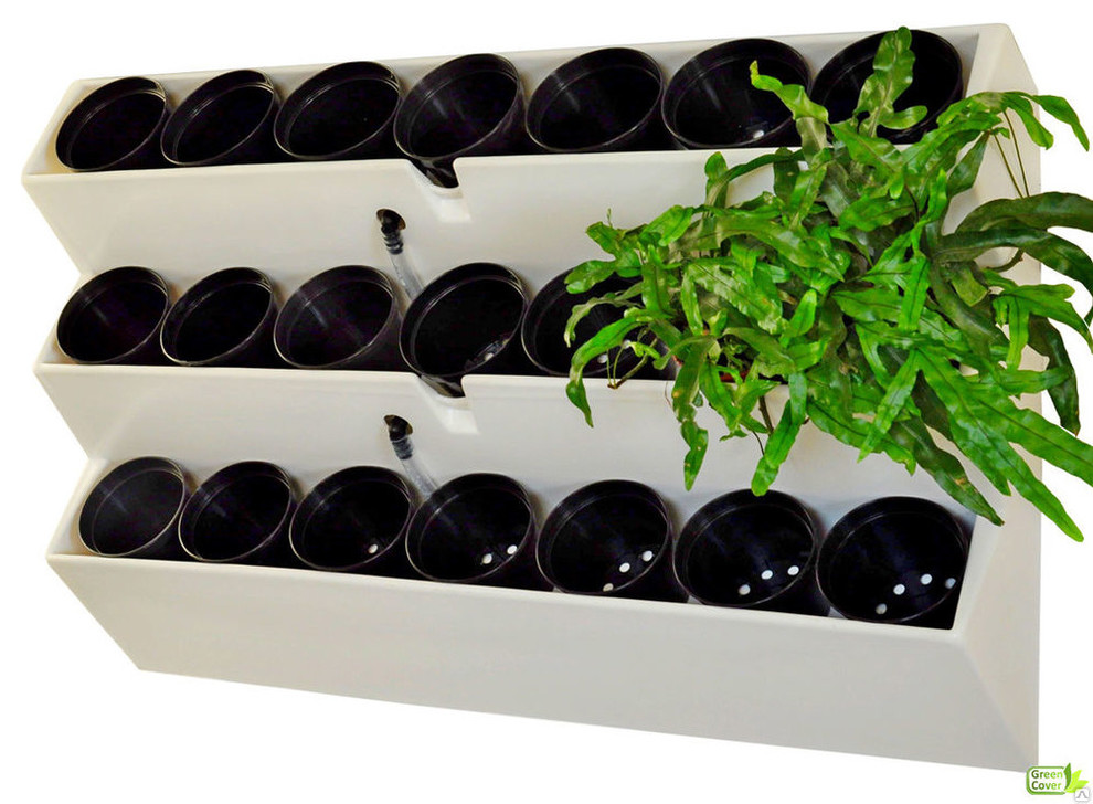 Азбука цветовода: Как выбрать фитомодуль для вертикального сада