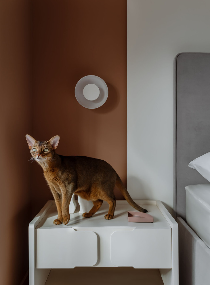 Квартира для молодой семьи и двух абиссинских котов