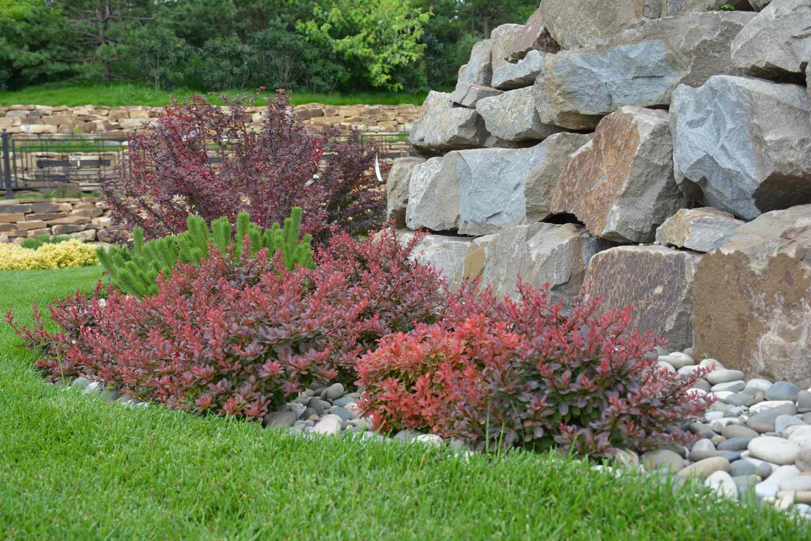 Ново-Николино