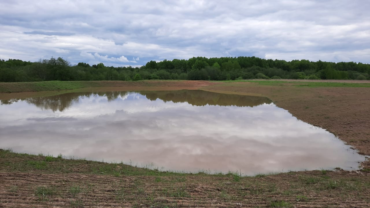 Пермакультурная агроусадьба. Рыбные пруды
