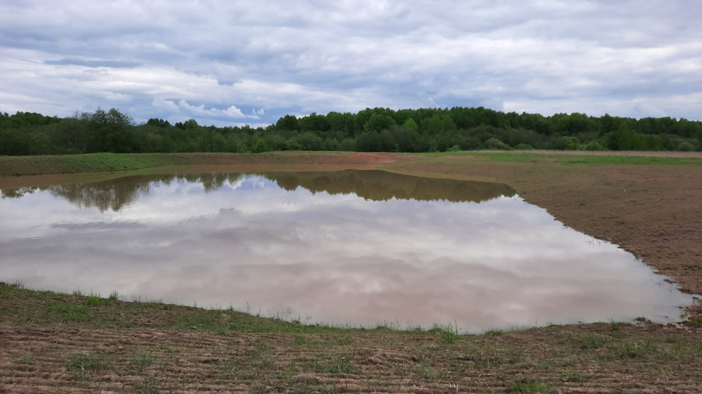 Пермакультурная агроусадьба. Рыбные пруды