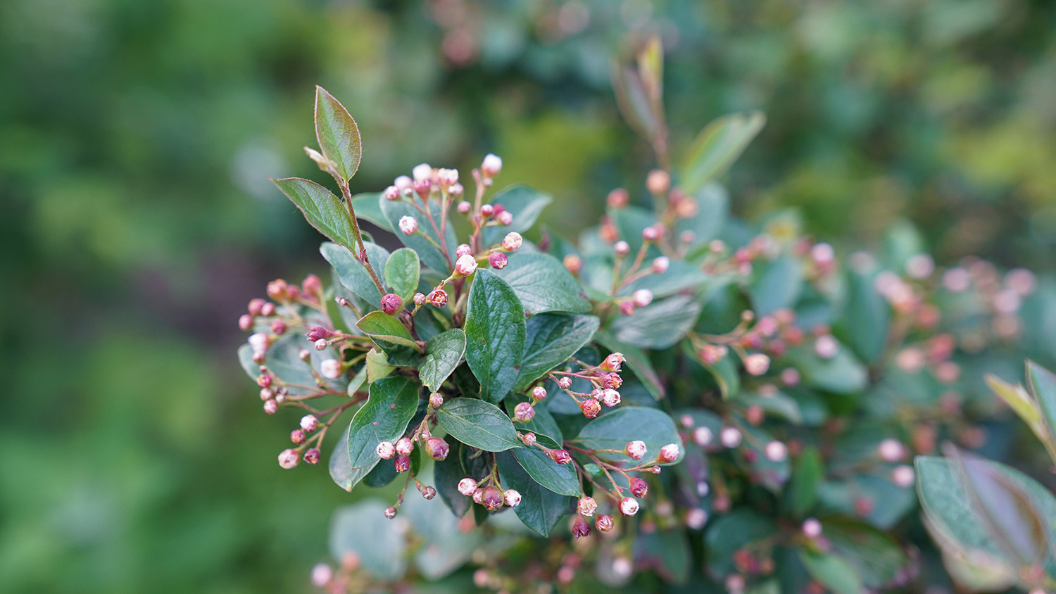 Вилла в стиле Райта. КП "Вымпел" Новорижское шоссе