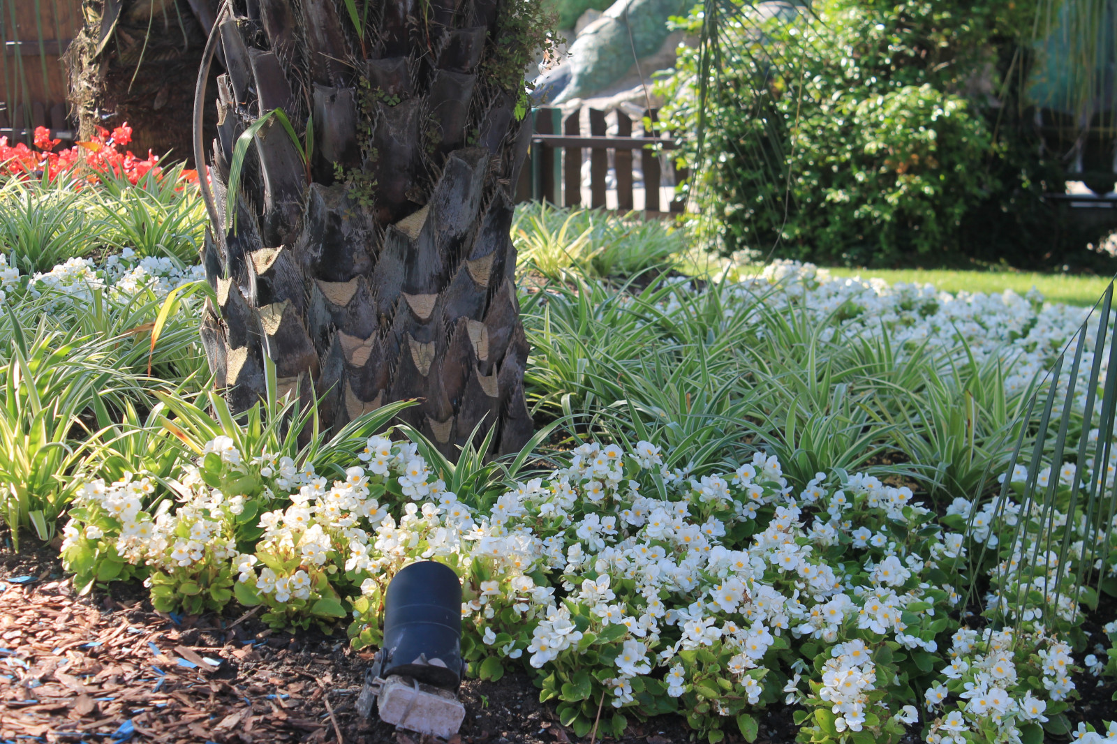 Парк аттракционов "Сочи парк"