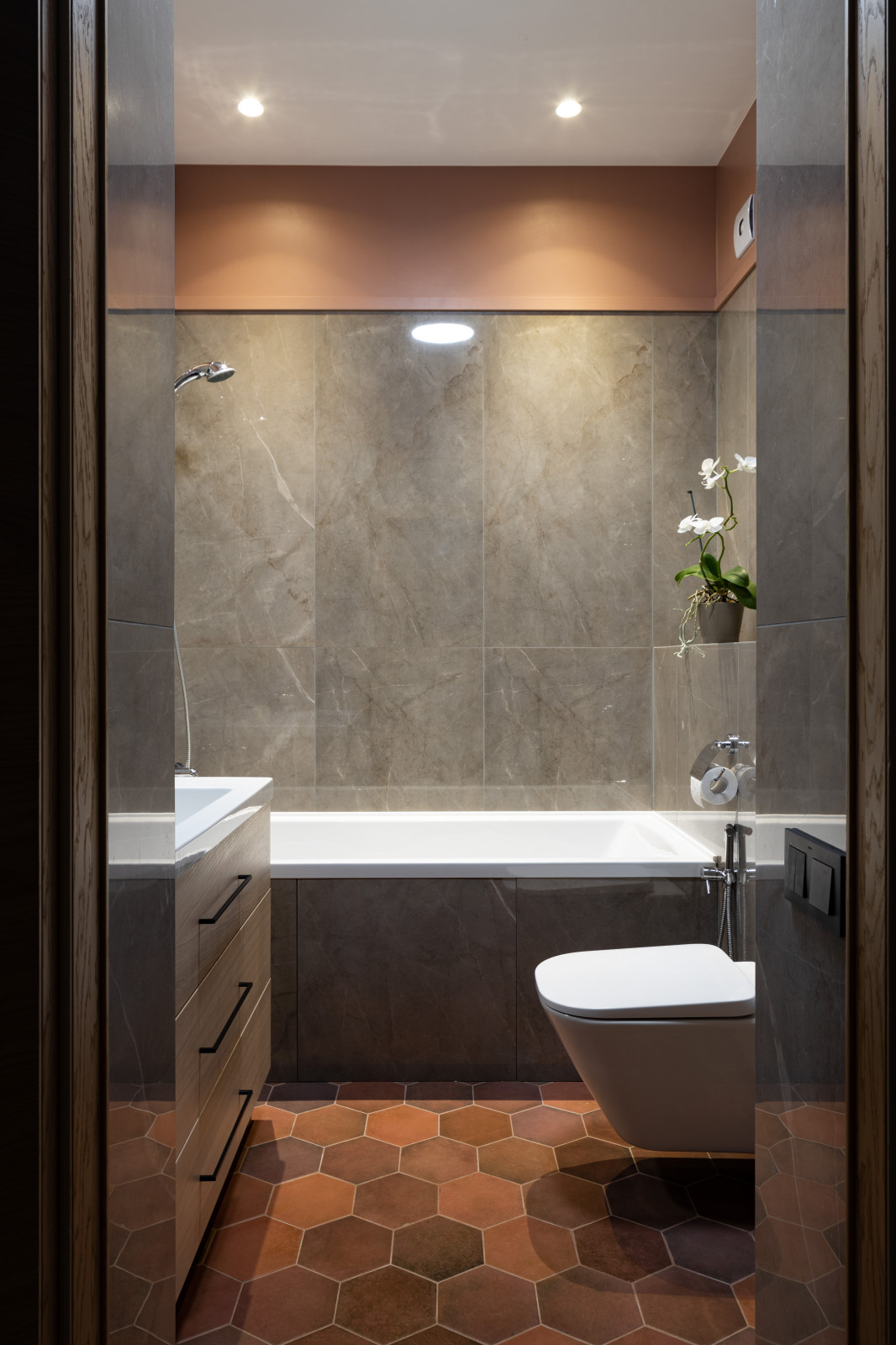 квартира с попугаями