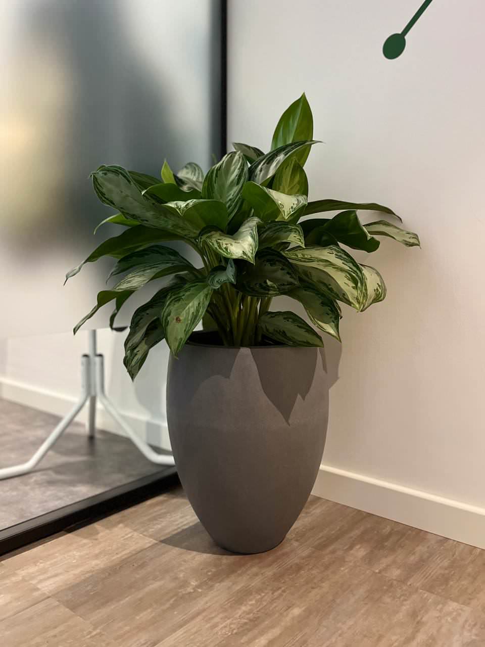 Офис Технодинамика г. Москва