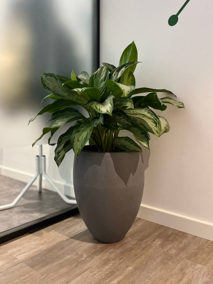 Офис Технодинамика г. Москва