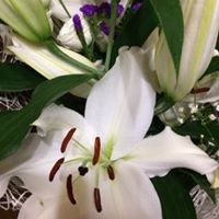 Ирина Смирнова