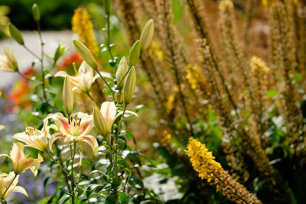 Сад с зеленой крышей