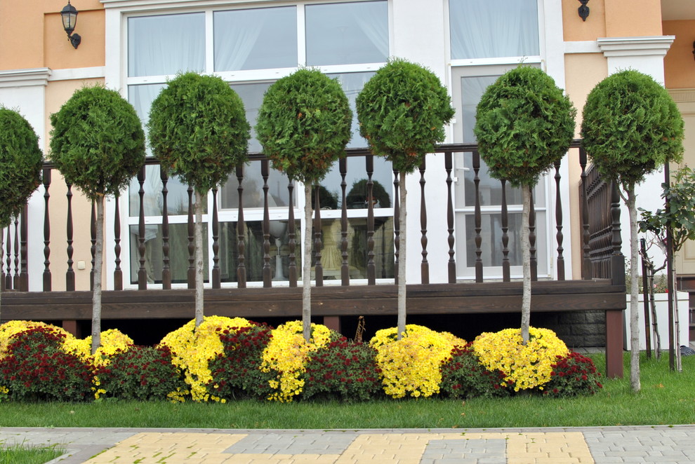 Сад молодой семьи