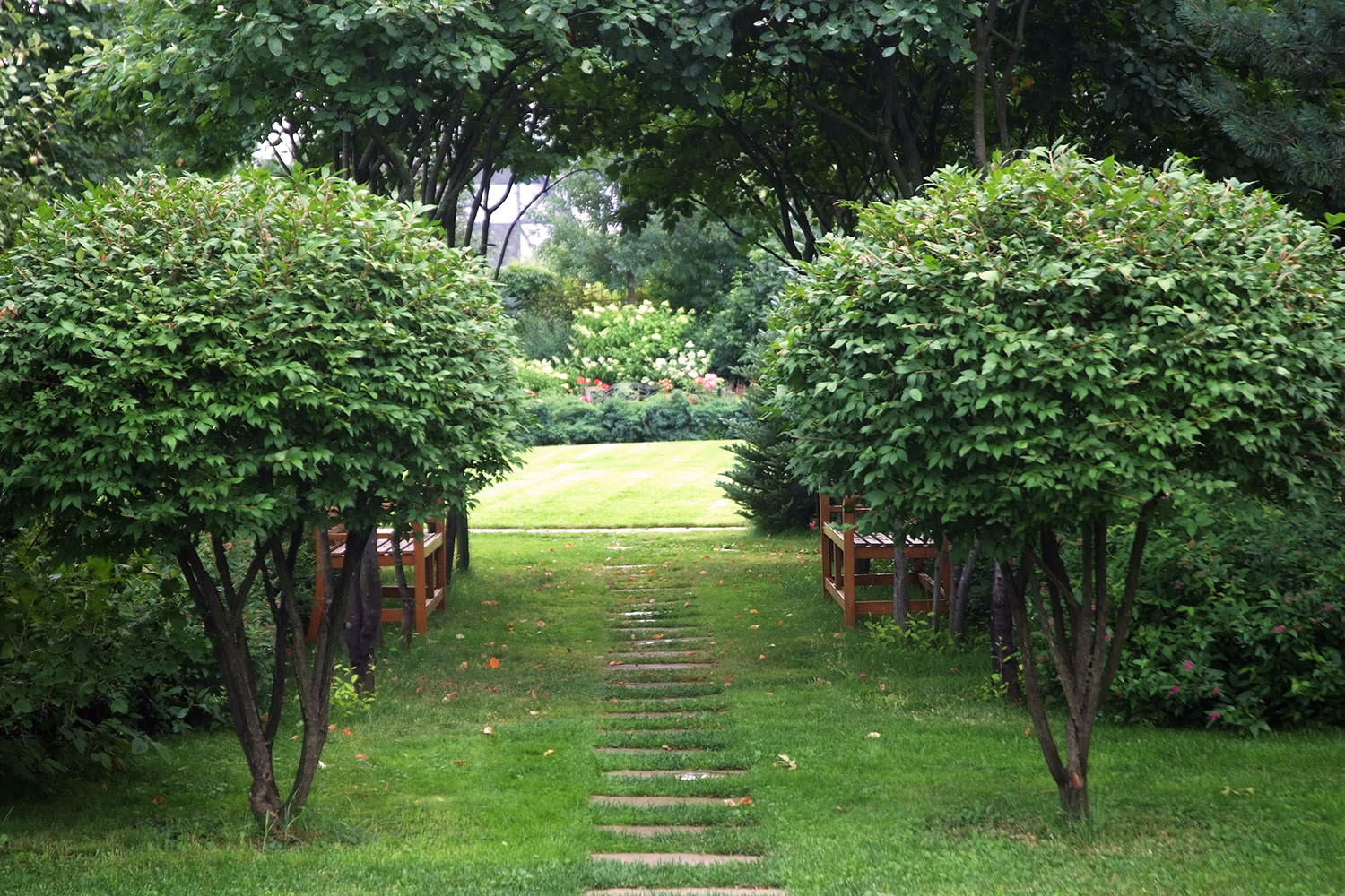 Ландшафтный сад с прудом в КП "Европа"