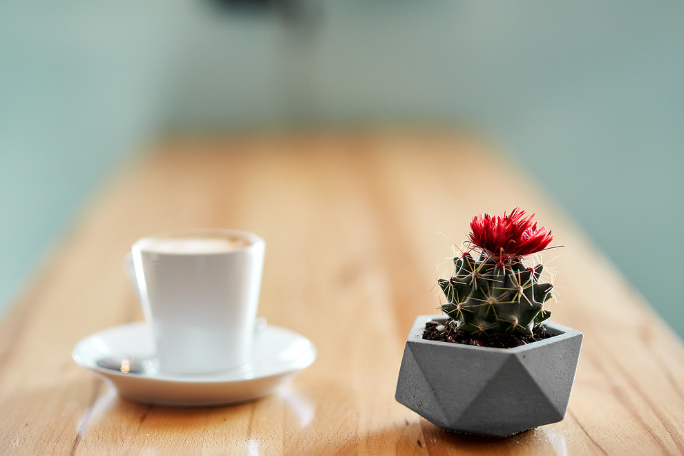 Портрет: Красота бетона в предметах от Garage Factory