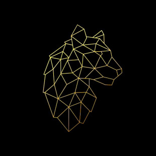 Вячеслав Соколов