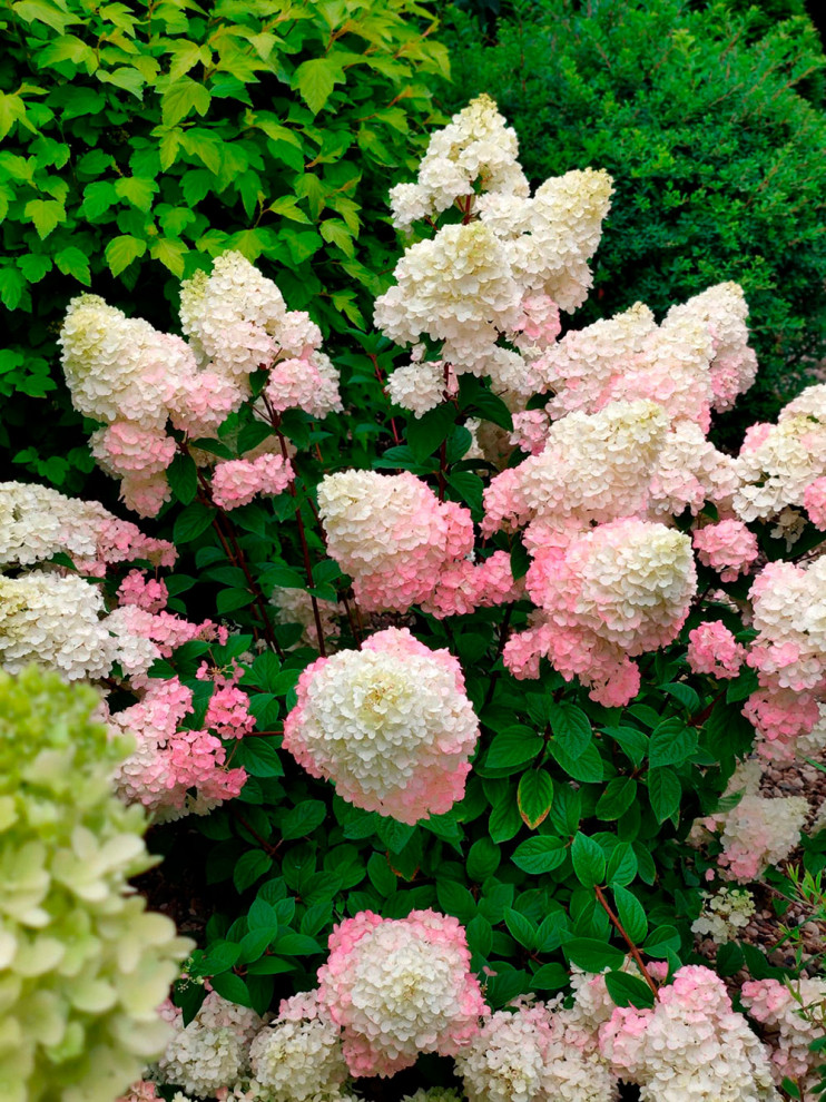 Нижегородский дворик