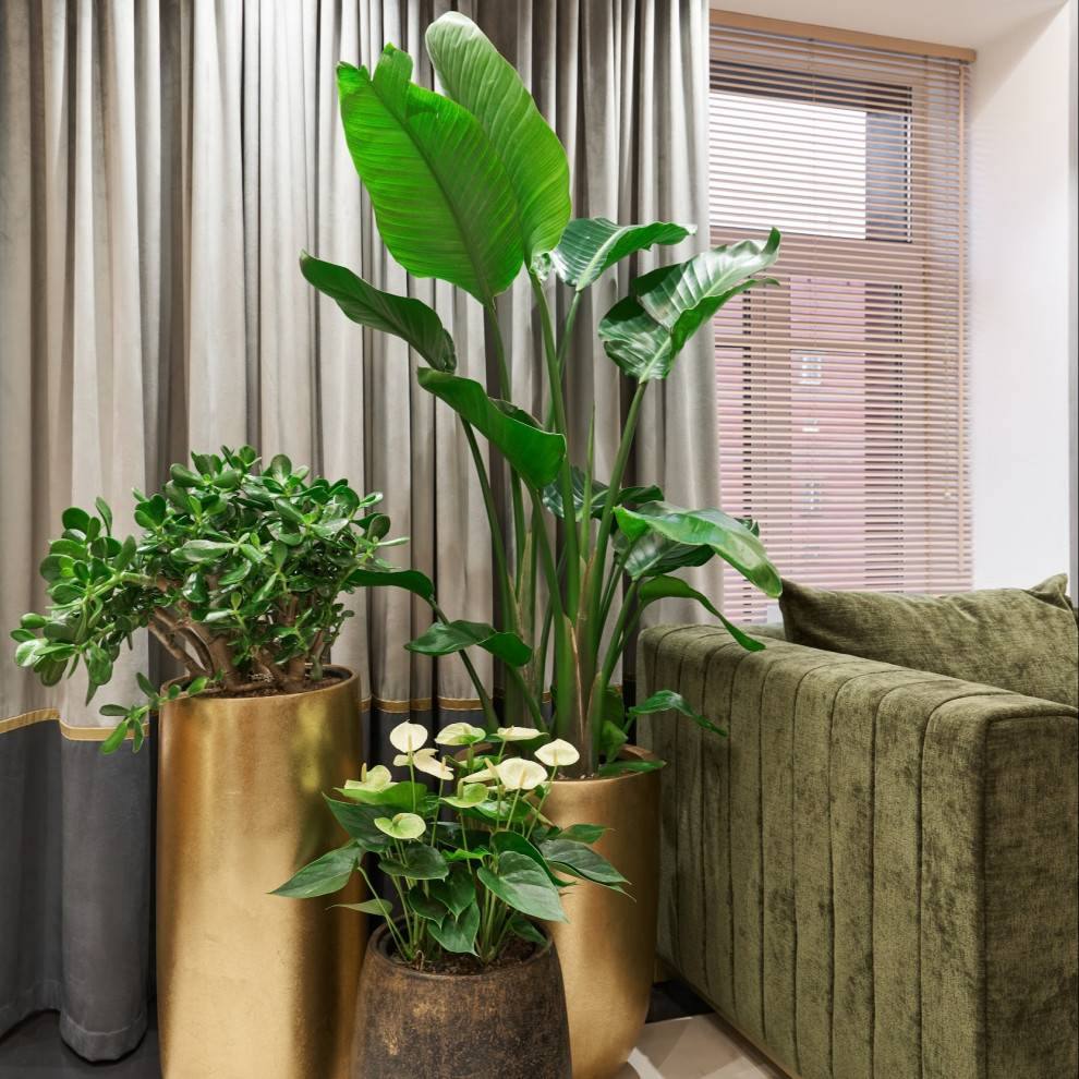 Озеленение офиса Endo Stars