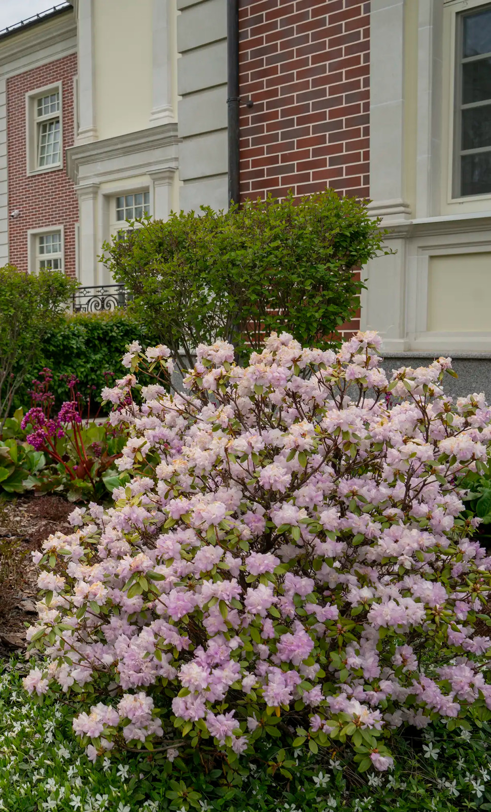 Английская неоклассика в КП Парквилл. 2019 г.