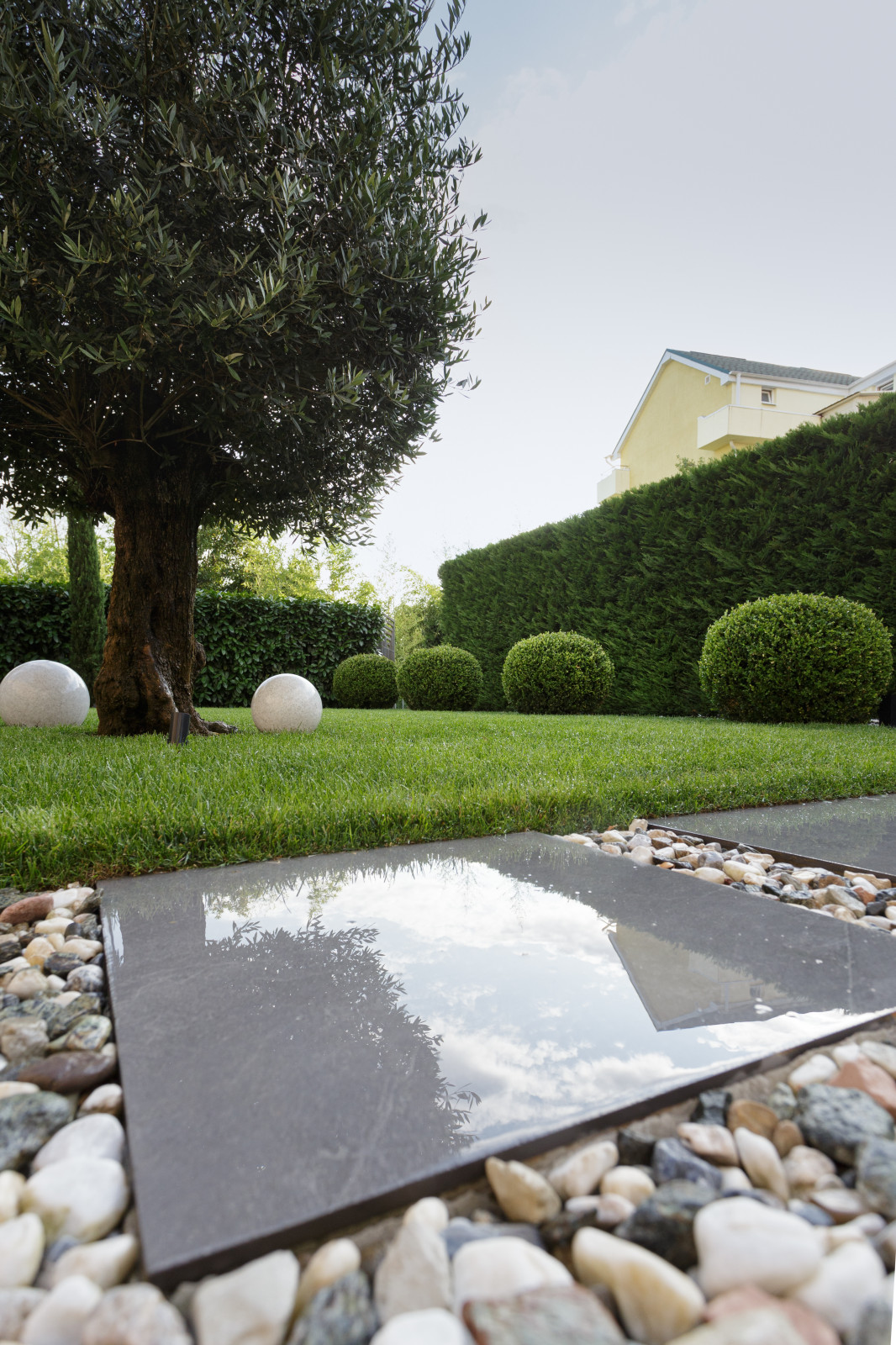 Обложка проекта: Розмарин. Ландшафтный Дизайн